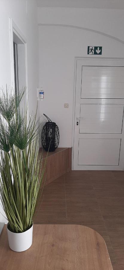 Villa Rajski Dvor 1 Bol Esterno foto